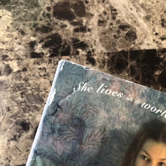 The Woman In The Wall Patrice Kindl 1997 Paperback - Picture 9 of 9